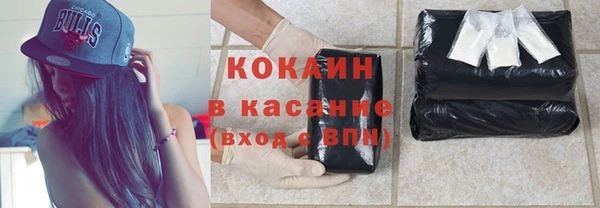 шишки Белоозёрский