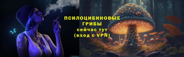 спайс Беломорск