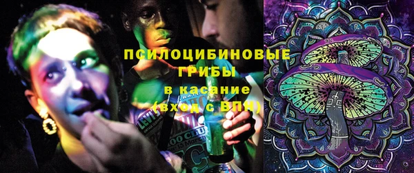 спиды Белокуриха