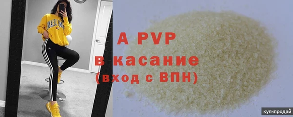 спайс Беломорск