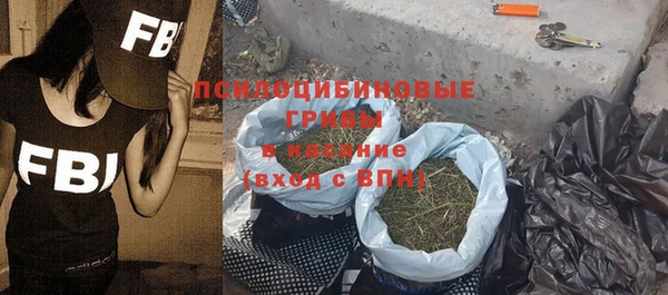 спиды Белокуриха