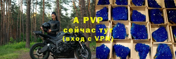 шишки Белоозёрский