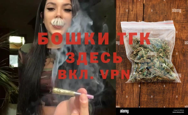 шишки Белоозёрский