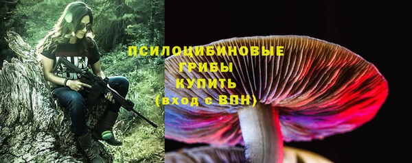 спайс Беломорск