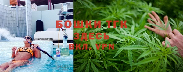 шишки Белоозёрский