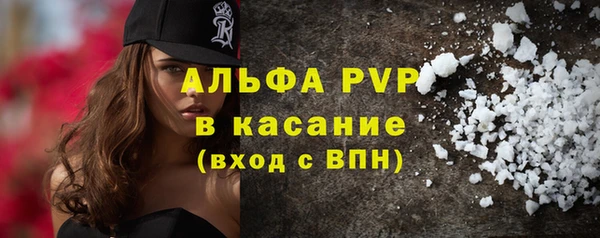 шишки Белоозёрский