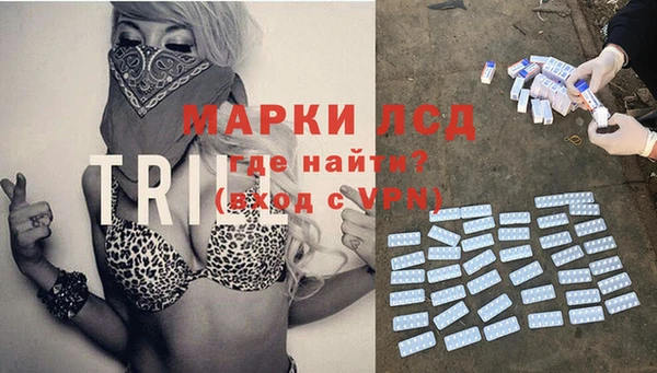 спайс Беломорск