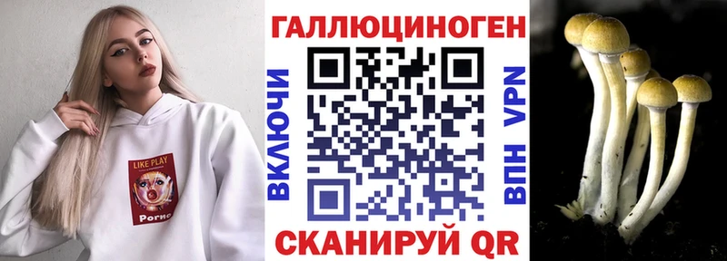 Псилоцибиновые грибы мицелий  закладки  MEGA зеркало  Покровск 